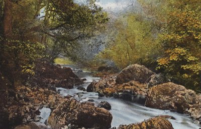 Irlande : Dans le Dargle, Comté de Wicklow - Photographer Irish