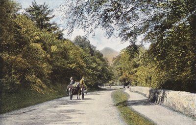 Irlande : La vallée des Downs, Montagne Sugar Loaf, comté de Wicklow - Photographer Irish