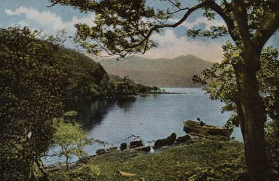 Irlande du Sud : À Innisfallen, Killarney - Photographer Irish
