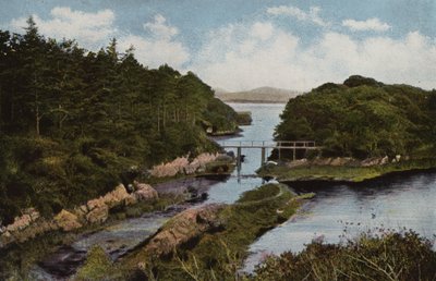 Irlande du Sud : Parknasilla, Comté de Kerry - Photographer Irish