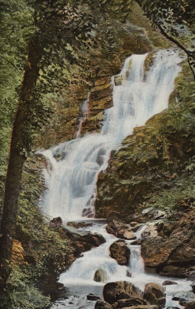Irlande du Sud : Cascade de Torc, Killarney - Photographer Irish