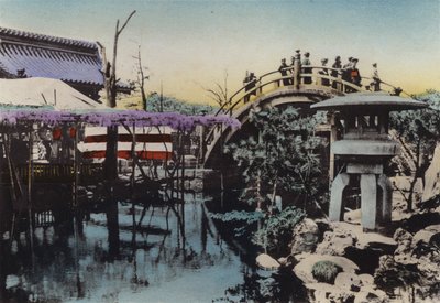 Japon, vers 1912 : Terrain du temple Kameido, célèbre pour la floraison des glycines en mai et le pont tambour - Photographer Japanese