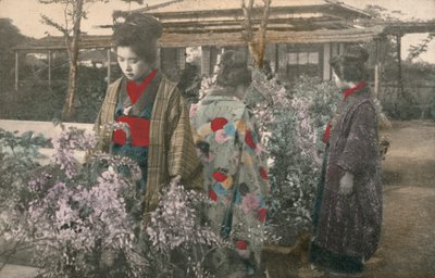Femmes japonaises avec des glycines - Photographer Japanese