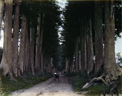 Pousse-pousse sur une route bordée d