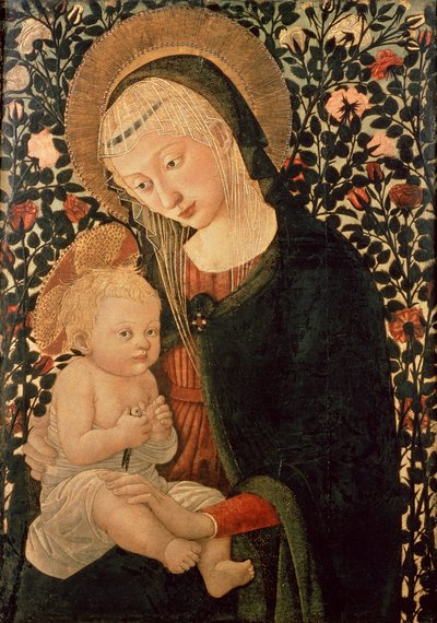 Image inconnue - Pier Francesco Fiorentino