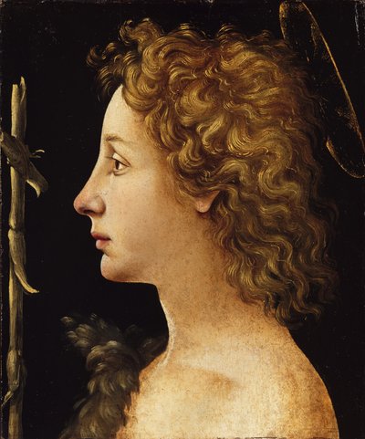Le jeune Saint Jean-Baptiste - Piero di Cosimo