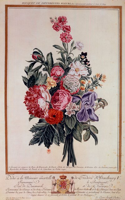Bouquet de fleurs mélangé Lithographie par Pierre Joseph - Pierre Joseph Buchoz