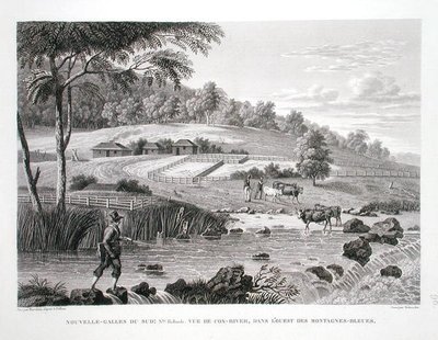 Vue de la rivière Cox à l