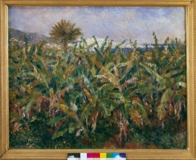 Champ de bananiers - Pierre Auguste Renoir