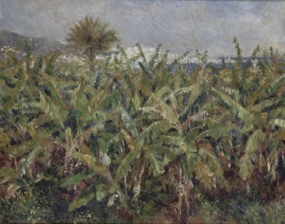 Champ de bananiers, 1881 - Pierre Auguste Renoir