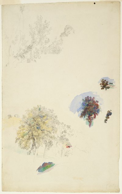 Études d