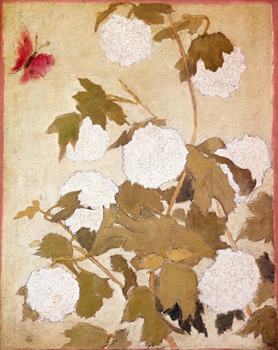Boules de neige Fleurs Boules de neige (Viburnum Ob) et papillon rouge - Pierre Bonnard