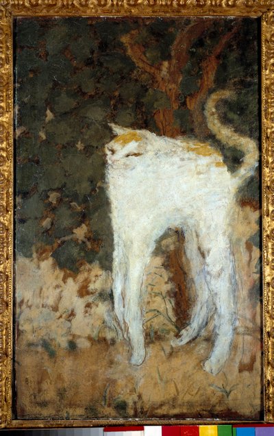 Le Chat blanc - Pierre Bonnard