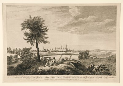 Vue sud-est de la ville de New York, en Amérique du Nord - Pierre Charles Canot