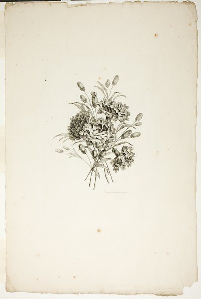 Bouquet avec des œillets, de la Collection de différents bouquets de fleurs, inventé et dessiné par Jean Pillement et gravé par P. C. Canot - Pierre Charles Canot