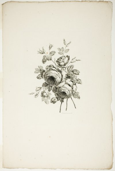 Bouquet avec des roses, de la Collection de différents bouquets de fleurs, inventé et dessiné par Jean Pillement et gravé par P. C. Canot - Pierre Charles Canot