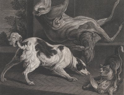 Chiens et nature morte, 1778 - Pierre Charles Canot