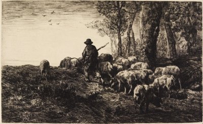 Silence et nuit des bois - Pierre Edmond Alexandre Hedouin