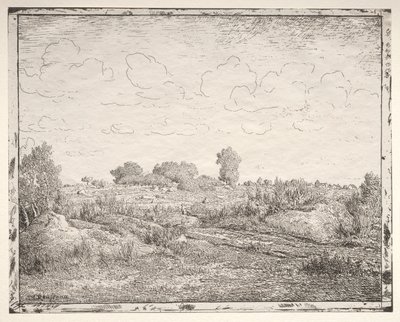 La Plaine de la Plante à Biau - Pierre Etienne Theodore Rousseau