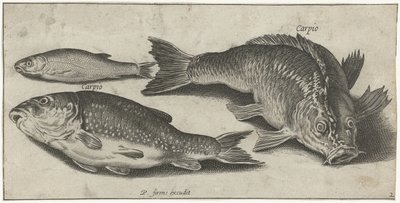 Trois carpes - Pierre Firens