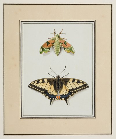 Sphinx et Machaon, vers 1755-65 - Pierre Francois Ledoulx