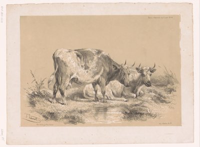 Étude de deux vaches - Pierre Frédéric Lehnert