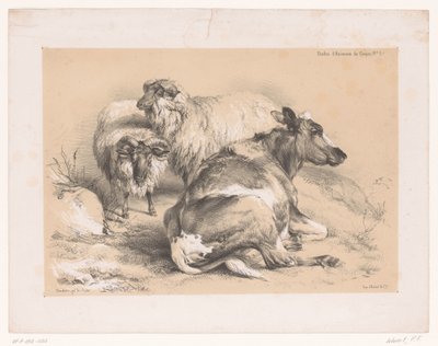 Étude de deux moutons et d