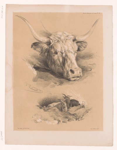 Études de la tête d