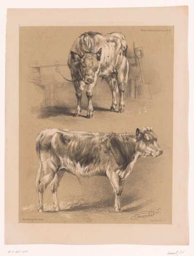 Deux études d