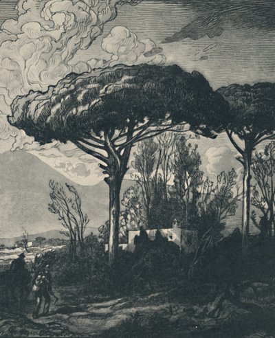 Le Vésuve de Pompéi - Pierre Gusman