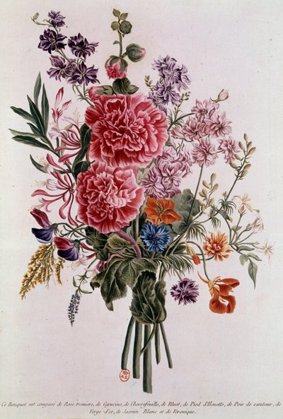Bouquet composé de roses, lithographie par Pierre Joseph Buchoz (1731-1807) 18e siècle Paris, B.N. - Pierre Joseph Buchoz