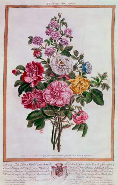 Bouquet de roses. Lithographie par Pierre Joseph Buchoz (1731-1807) 18ème siècle Paris, B.N. - Pierre Joseph Buchoz