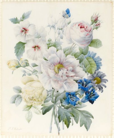 Un bouquet de fleurs comprenant une pivoine, des roses, un hibiscus, des asters, une gentiane et un papillon bleu imaginaire - Pierre Joseph Redouté