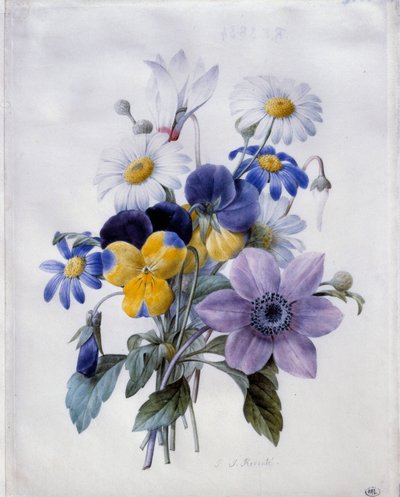 Un bouquet de fleurs: clématite, pensée, marguerite et cyclamen - Pierre Joseph Redouté