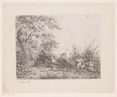 Arbre renversé au bord de la forêt - Pierre Louis Dubourcq