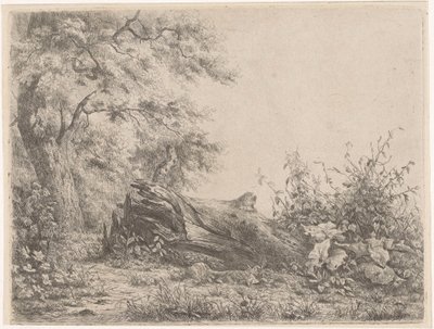 Arbre tombé au bord de la forêt - Pierre Louis Dubourcq
