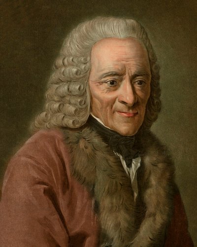 Portrait de Voltaire - Pierre Michel Alix