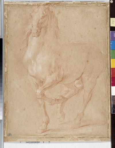Étude de cheval - Pierre Puget
