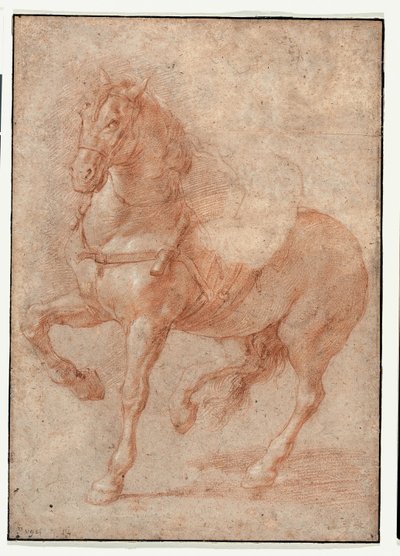 Étude de Bucéphale pour le relief "Alexandre et Diogène". - Pierre Puget