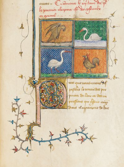 Page de "De Proprietatibus Rerum" par Bartholomeus Anglicus, dans la traduction française de Jean Corbechon, vers 1390 - Pierre Remiet