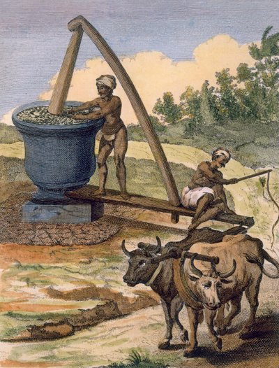 Un moulin à huile actionné par une paire de bœufs, gravé par Poisson, de 