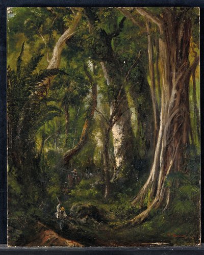 Voyageurs dans une forêt cubaine - Pierre Toussaint Frédéric Mialhe