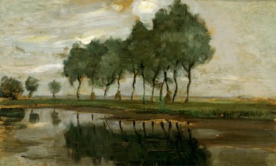 Paysage d