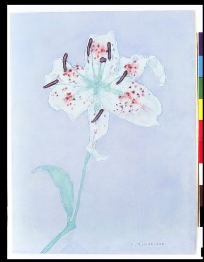 Lys, après 1921 - Piet Mondrian