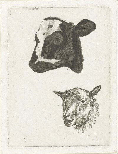 Tête de veau pie noir et mouton - Pieter Barbiers (IV)