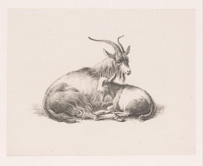 Bouquetin et une chèvre - Pieter Bartholomeusz. Barbiers