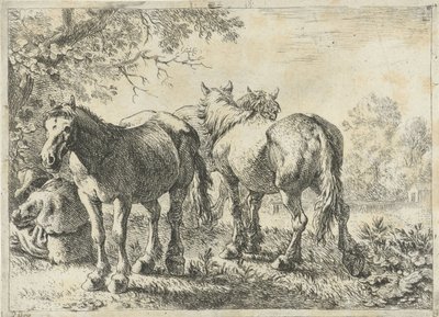 Trois chevaux et un fermier - Pieter Bodding van Laer