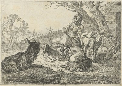 Bergère au milieu de chèvres et de moutons - Pieter Bodding van Laer