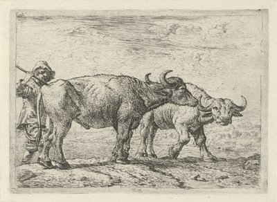 Deux buffles et un berger - Pieter Bodding van Laer