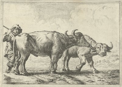 Deux buffles et un berger (Verschillende dieren) - Pieter Bodding van Laer